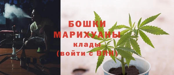бошки Мегион