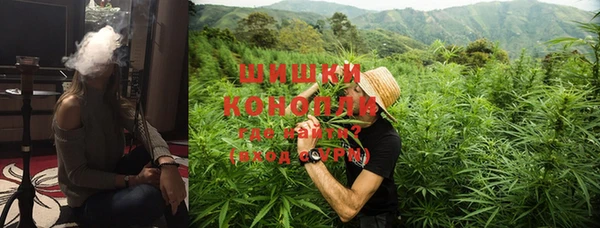 бошки Мегион