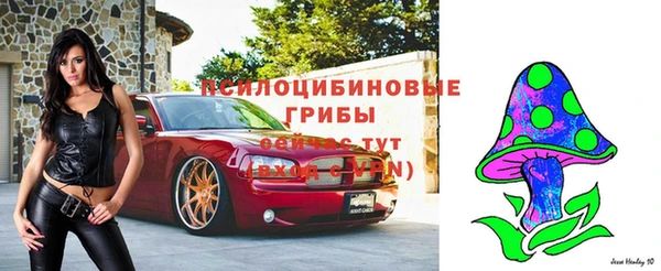 прущая мука Медногорск