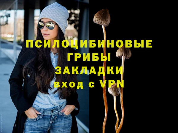 мяу мяу мука Медвежьегорск