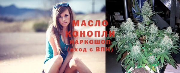 бошки Мегион