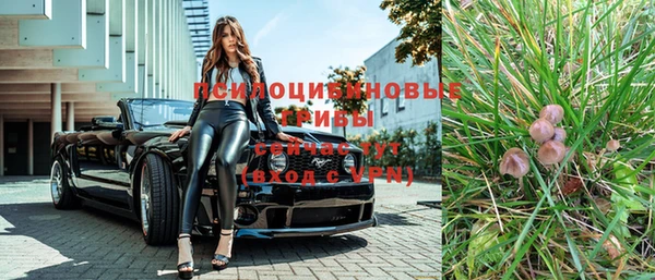 бошки Мегион